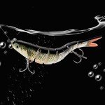 Rose Kuli Multi-Jointed Fishing Lures Kit