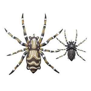 Lunkerhunt Phantom Spider Topwater Fishing Lure