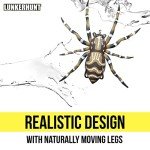 Lunkerhunt Phantom Spider Topwater Fishing Lure