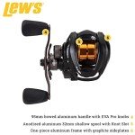 Lew's Team Pro SP Spring and Pitching Rod