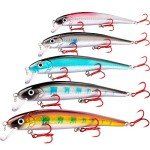 XBLACK 5PCS Hard Fishing Lures Set 4.6