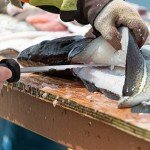 Mossy Oak 4pc Fishing Tool Set