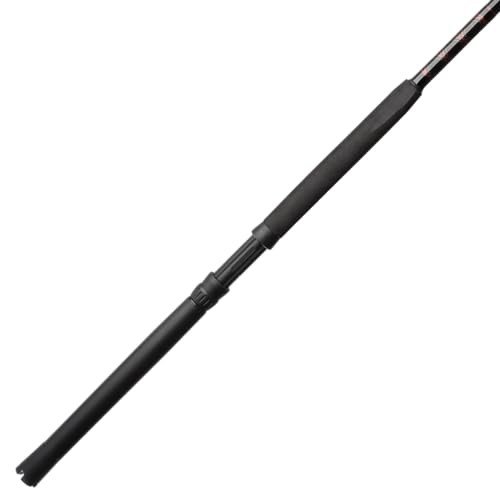 Boat Fishing Rods