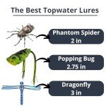 LUNKERHUNT Top Water Bass Fishing Lures Combo