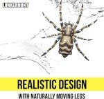 LUNKERHUNT Top Water Bass Fishing Lures Combo