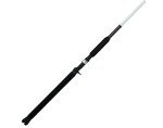 Ugly Stik Casting Rod for Catfish Fishing