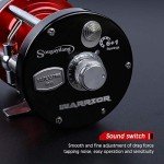 Sougayilang 4000 Round Baitcasting Fishing Reel