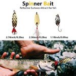 Comprehensive Fishing Lures Kit for Bass & Trout