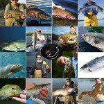 110-Piece Portable Bass Worm Hook Set