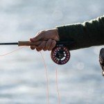 Sage Spectrum C Fly Reel for Freshwater & Saltwater