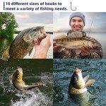 500pcs Fishing Hooks Set - Freshwater & Saltwater