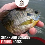 Freshwater Fishing Hooks for Bass, Trout, Crappie