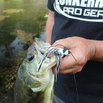 Lunkerhunt Dragonfly Realistic Weedless Fishing Lure