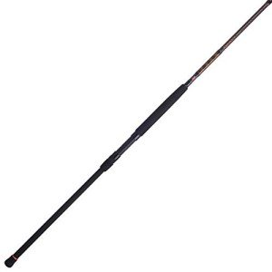 Penn Squadron III Surf Spinning Fishing Rod