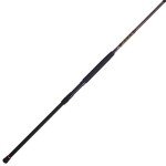 Penn Squadron III Surf Spinning Fishing Rod