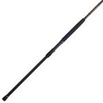 Penn Squadron III Surf Spinning Fishing Rod
