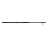Penn Squadron III Surf Spinning Fishing Rod