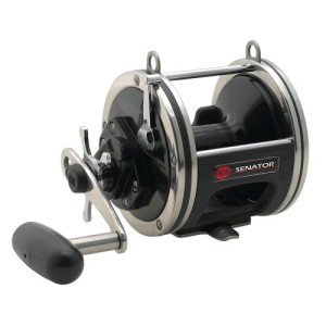 PENN Senator Star Drag Fishing Reel - 24lb Max