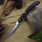 12.5" Folding Sport Fish Filleting Knife - Black