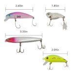 Spriedeger 3D Simulation Fishing Lure Kit