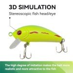 Spriedeger 3D Simulation Fishing Lure Kit