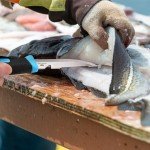 Mossy Oak 4" Fishing and Bait Knife