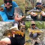 Aventik DJ Super Large Arbor Fly Reel