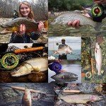 Maxcatch Carbon Fiber Fly Rod Travel Tube