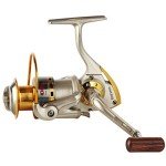 Diwa Spinning Fishing Reel for All Waters