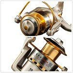 Diwa Spinning Fishing Reel for All Waters