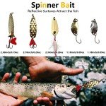 Fishing Lures Kit with Tackle Box and Baits