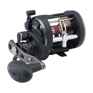 PENN Warfare Level Wind Fishing Reel – 15lb Max