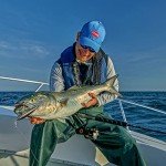 PENN Warfare Level Wind Fishing Reel – 15lb Max