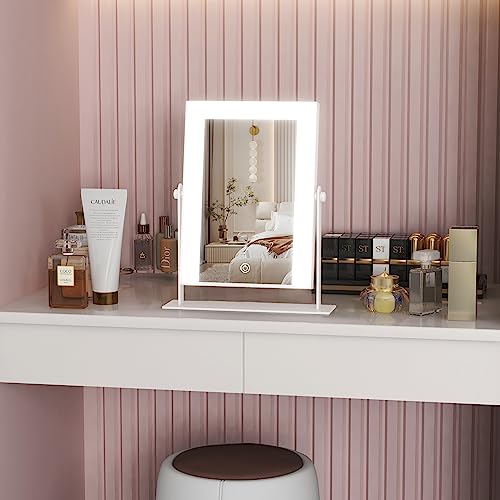 ROLOVE 9"x11" Lighted Vanity Mirror with Touch Control