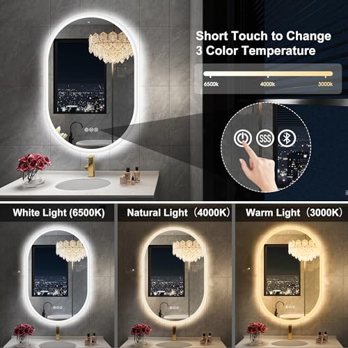 LED Oval Bathroom Mirror with Bluetooth Speaker