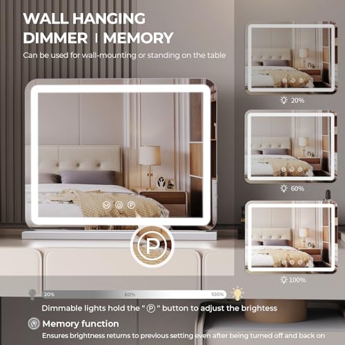 ZL ZELing 23-Inch LED Vanity Mirror