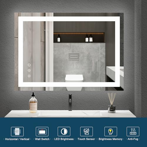 LED Bathroom Mirror 20x28 Inch - Anti-Fog, Dimmable