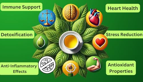 Tozzy Organic Ashwagandha Tea – 100 Pyramid Bags