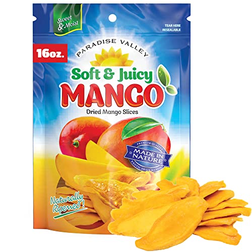 Savory Dried Mango Slices - Low Sugar Treat