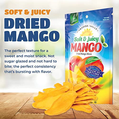 Savory Dried Mango Slices - Low Sugar Treat