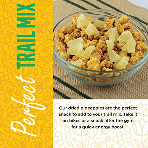 All-Natural Dried Pineapple Chunks - 1 lb