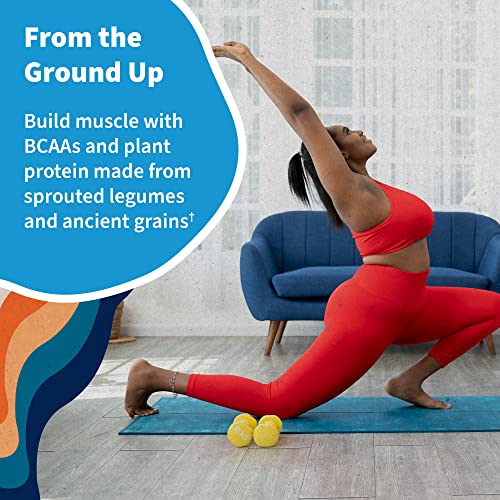 Organic Vegan Vanilla Protein Powder - 22g Plant-Based