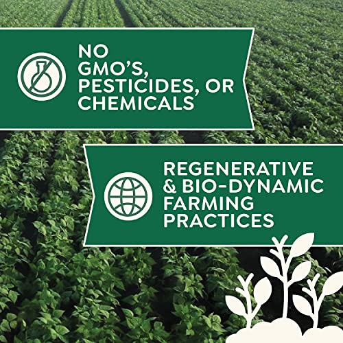 Organic Yellow Popcorn Kernels - 3lb Bulk Pack