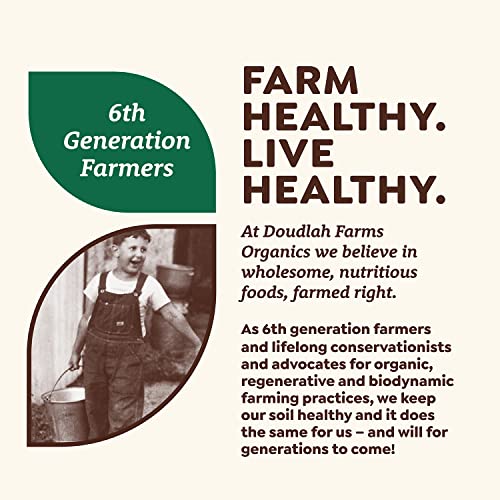 Organic Yellow Popcorn Kernels - 3lb Bulk Pack