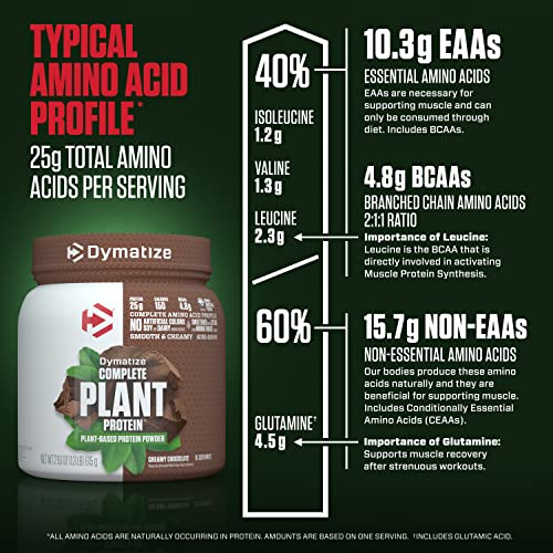 Dymatize Creamy Chocolate Vegan Protein Powder