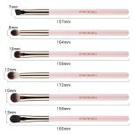 6-Piece Professional Eye Makeup Brush Set