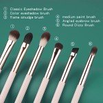 6-Piece Professional Eye Makeup Brush Set