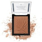 Wet n Wild Color Icon Bronzer - Shady Beaches