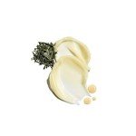 Jack Black Intense Therapy Lip Balm - Mint & Shea