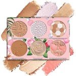 Physicians Formula All-Star Face Palette for Everyone